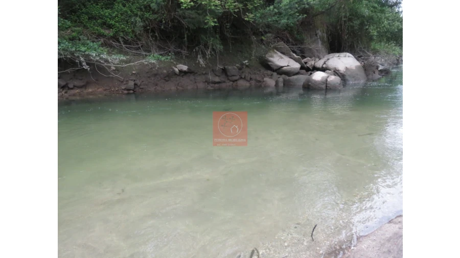 Quinta para Venda em Amarante (São Gonçalo), Madalena, Cepelos e Gatão Foto 6