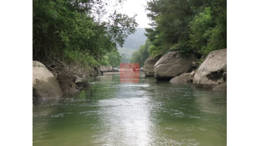 Quinta para Venda em Amarante (São Gonçalo), Madalena, Cepelos e Gatão Foto 5