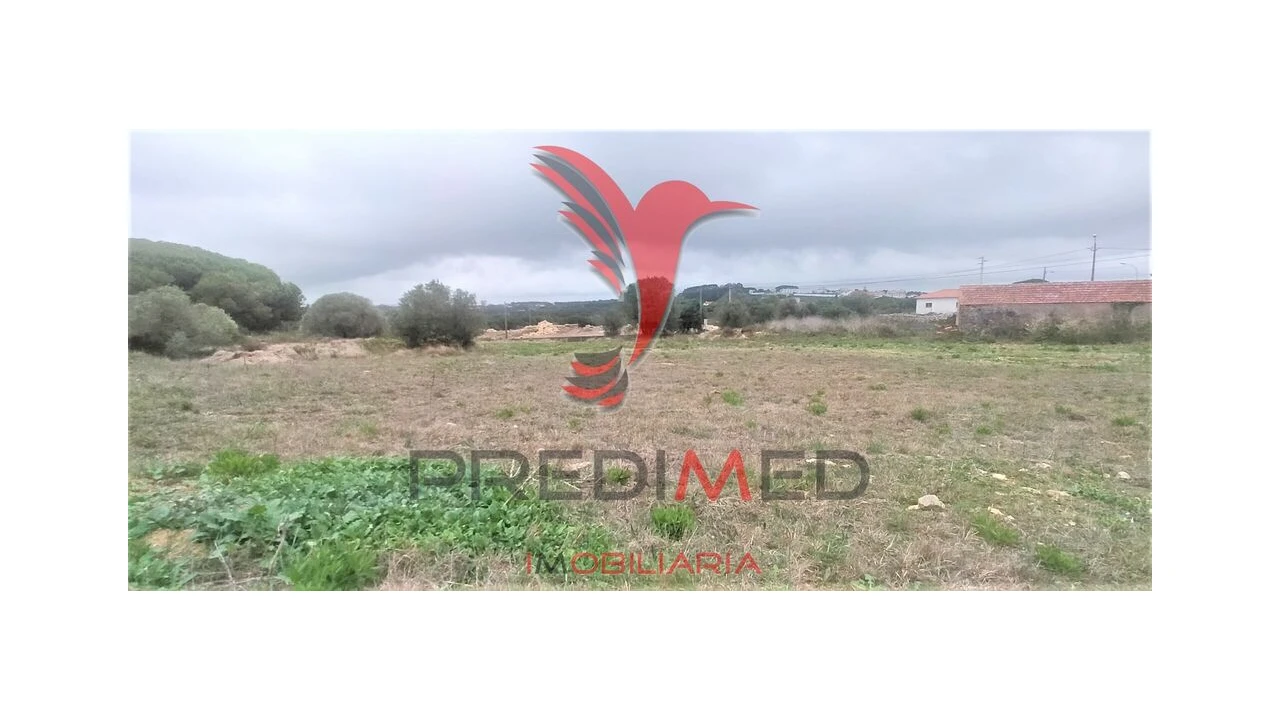 Terreno para Venda em Santa Maria e São Miguel, São Martinho, São Pedro Penaferrim Foto 5