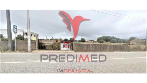 Terreno para Venda em Santa Maria e São Miguel, São Martinho, São Pedro Penaferrim