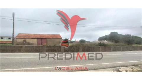 Terreno para Venda em Santa Maria e São Miguel, São Martinho, São Pedro Penaferrim