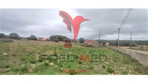 Terreno para Venda em Santa Maria e São Miguel, São Martinho, São Pedro Penaferrim