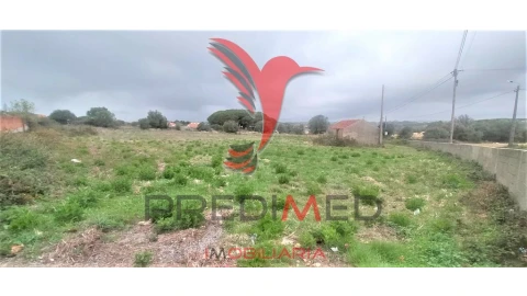 Terreno para Venda em Santa Maria e São Miguel, São Martinho, São Pedro Penaferrim