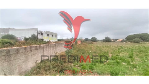Terreno para Venda em Santa Maria e São Miguel, São Martinho, São Pedro Penaferrim