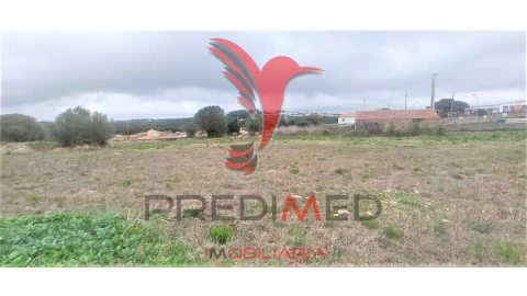 Terreno para Venda em Santa Maria e São Miguel, São Martinho, São Pedro Penaferrim