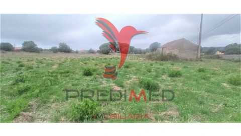 Terreno para Venda em Santa Maria e São Miguel, São Martinho, São Pedro Penaferrim