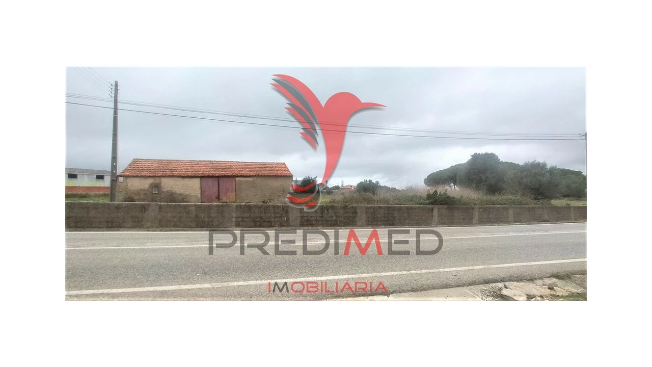 Terreno para Venda em Santa Maria e São Miguel, São Martinho, São Pedro Penaferrim Foto 6