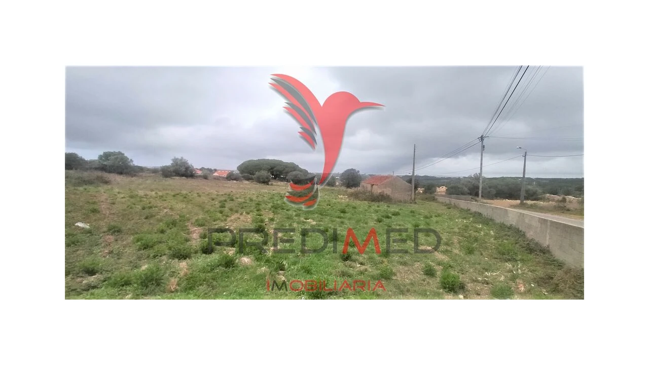 Terreno para Venda em Santa Maria e São Miguel, São Martinho, São Pedro Penaferrim Foto 17