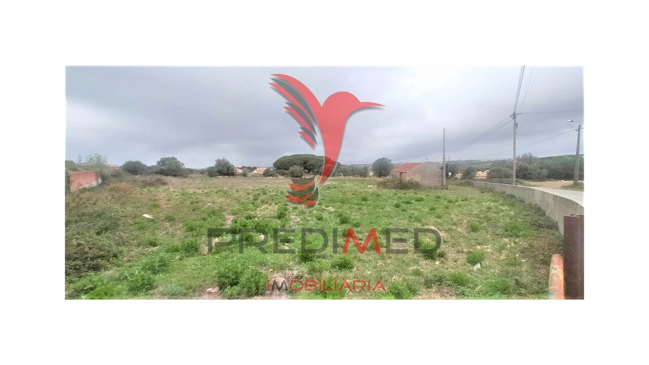 Terreno para Venda em Santa Maria e São Miguel, São Martinho, São Pedro Penaferrim Foto 9