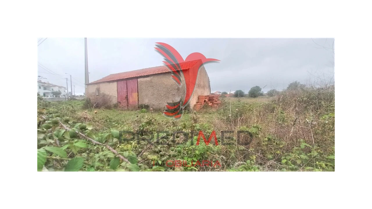 Terreno para Venda em Santa Maria e São Miguel, São Martinho, São Pedro Penaferrim Foto 3
