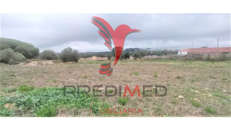 Terreno para Venda em Santa Maria e São Miguel, São Martinho, São Pedro Penaferrim Foto 5