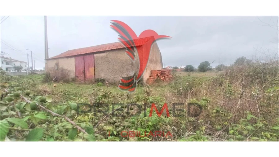 Terreno para Venda em Santa Maria e São Miguel, São Martinho, São Pedro Penaferrim Foto 3