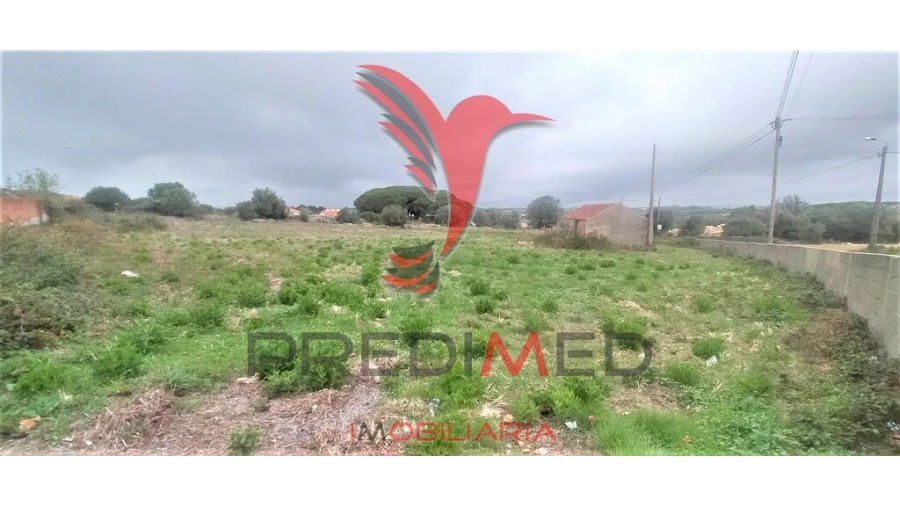 Terreno para Venda em Santa Maria e São Miguel, São Martinho, São Pedro Penaferrim Foto 18