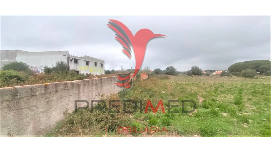 Terreno para Venda em Santa Maria e São Miguel, São Martinho, São Pedro Penaferrim Foto 4
