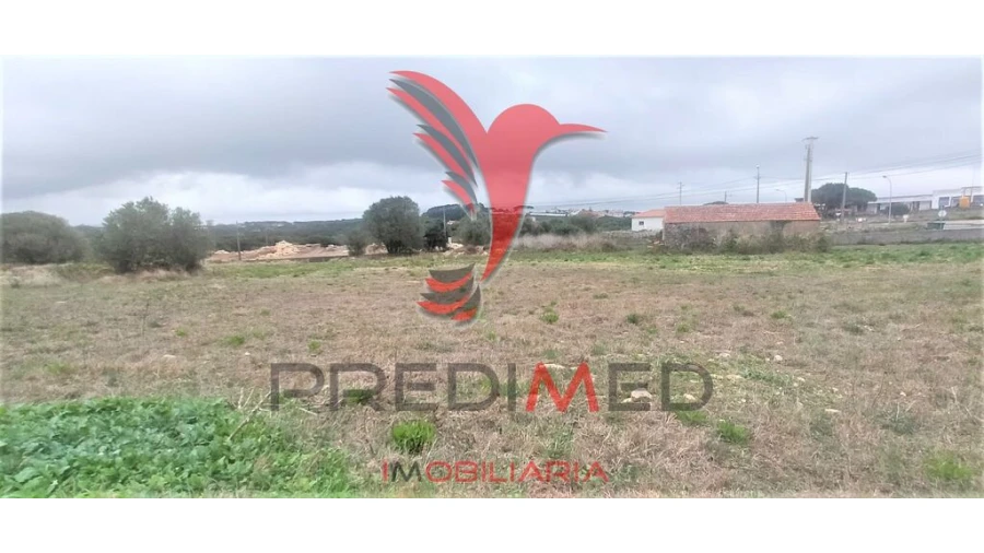 Terreno para Venda em Santa Maria e São Miguel, São Martinho, São Pedro Penaferrim Foto 11