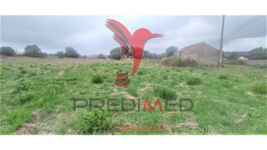 Terreno para Venda em Santa Maria e São Miguel, São Martinho, São Pedro Penaferrim Foto 16