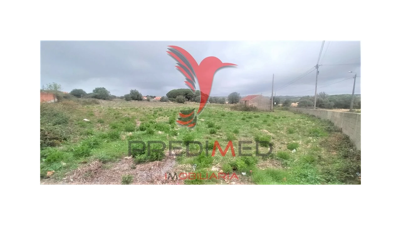 Terreno para Venda em Santa Maria e São Miguel, São Martinho, São Pedro Penaferrim Foto 18