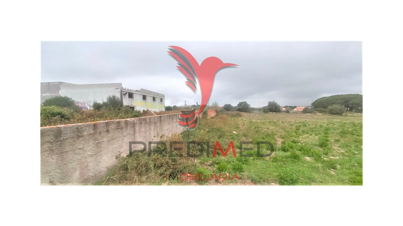 Terreno para Venda em Santa Maria e São Miguel, São Martinho, São Pedro Penaferrim Foto 4