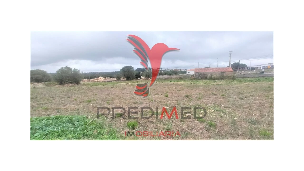 Terreno para Venda em Santa Maria e São Miguel, São Martinho, São Pedro Penaferrim Foto 11