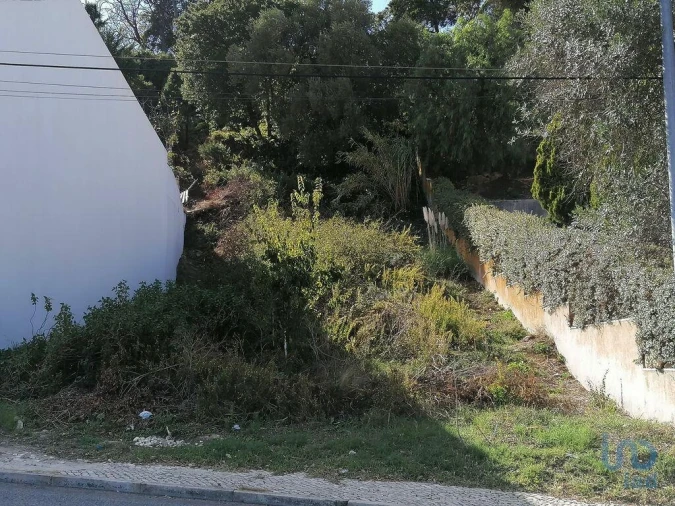 Terreno para Venda em Barcarena Foto 4