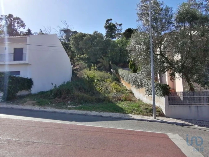 Terreno para Venda em Barcarena Foto 3