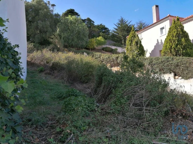 Terreno para Venda em Barcarena Foto 5