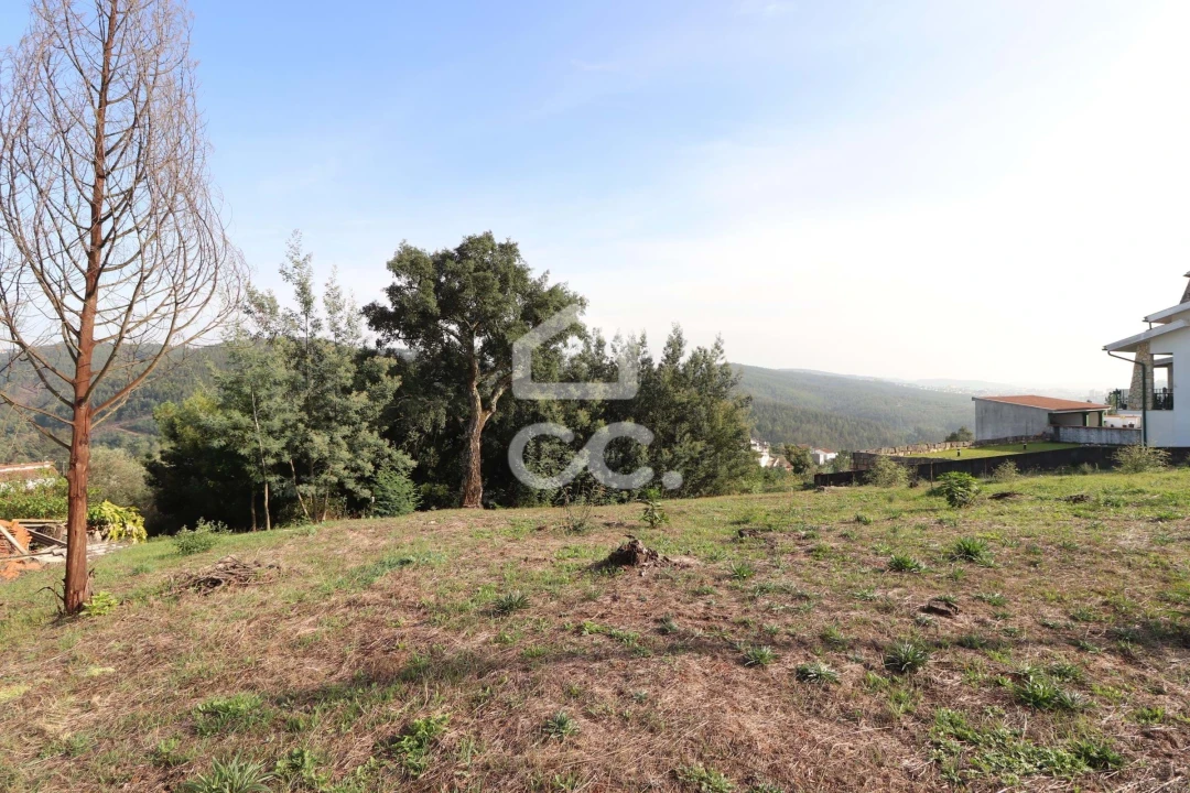 Terreno para Venda em Santo Antonio dos Olivais Foto 4