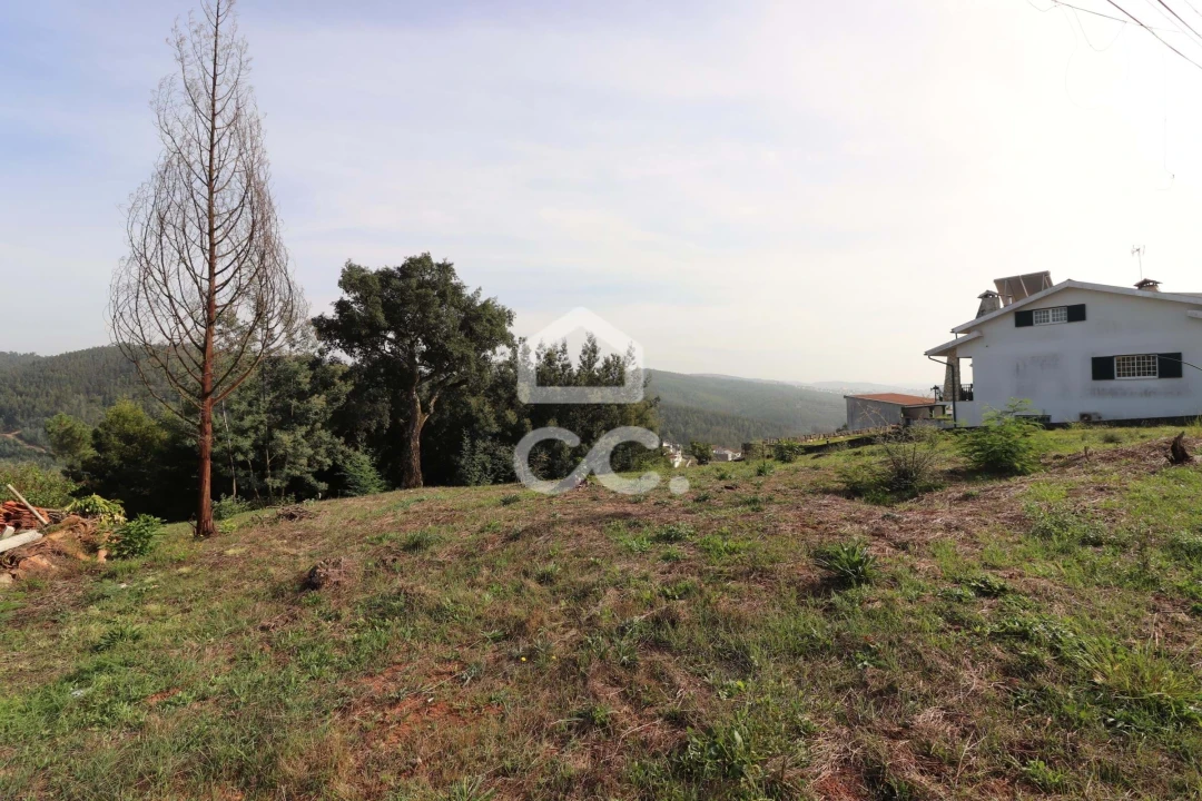 Terreno para Venda em Santo Antonio dos Olivais Foto 3