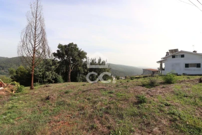 Terreno para Venda em Santo Antonio dos Olivais