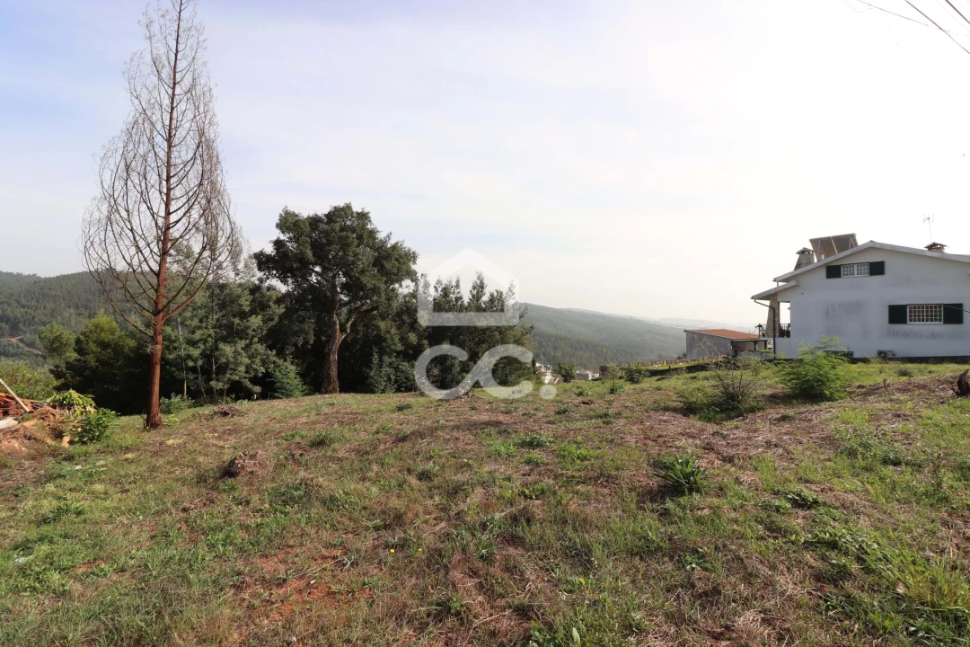 Terreno para Venda em Santo Antonio dos Olivais Foto 2