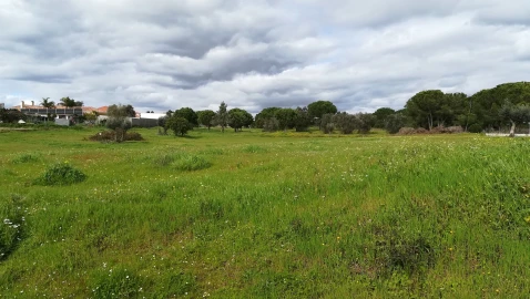 Terreno para Venda em Coruche, Fajarda e Erra
