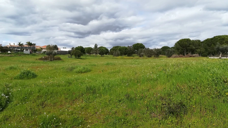 Terreno para Venda em Coruche, Fajarda e Erra Foto 6