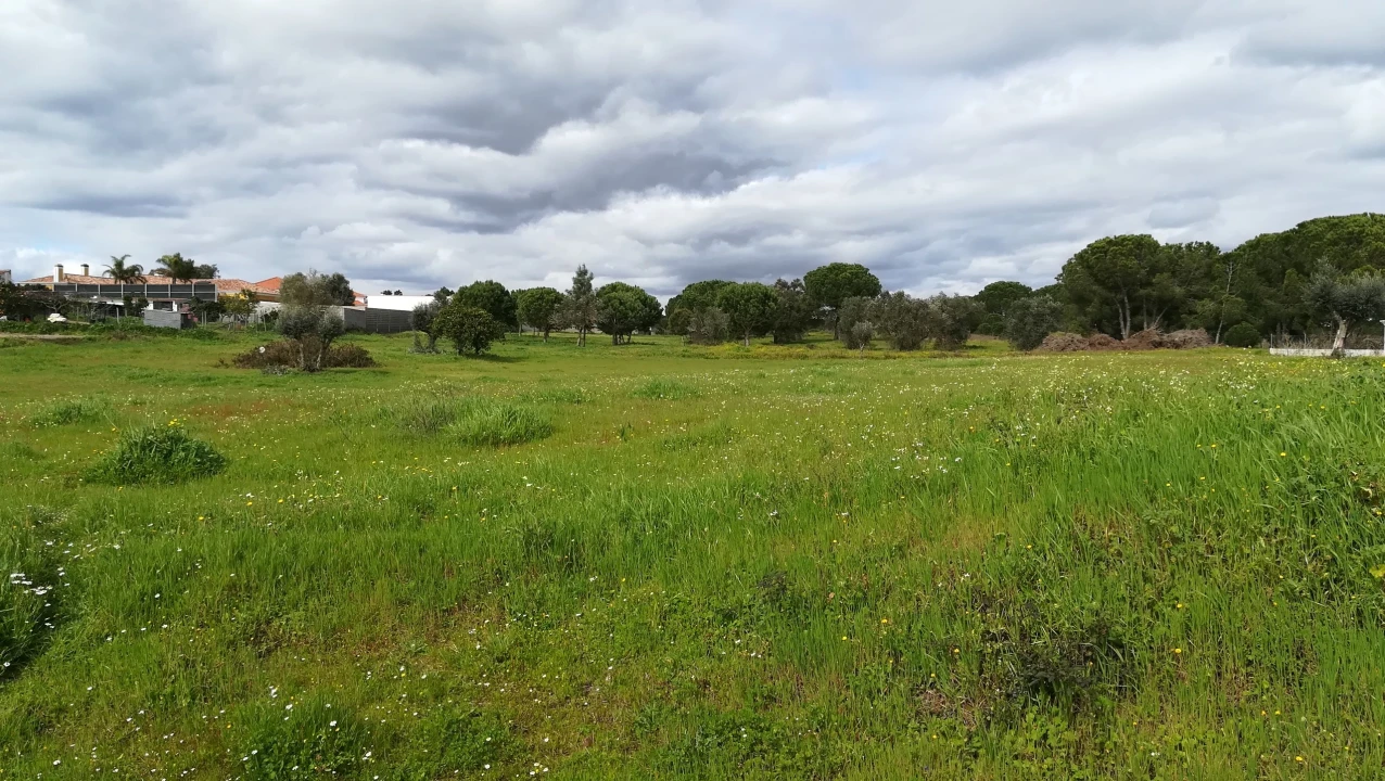 Terreno para Venda em Coruche, Fajarda e Erra Foto 6