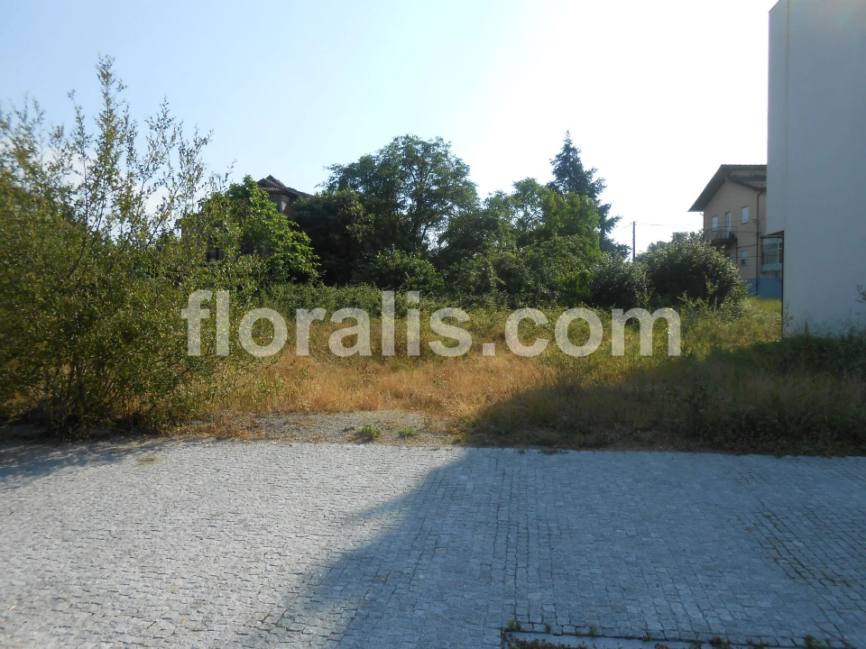 Terreno para Venda em Viseu Foto 1