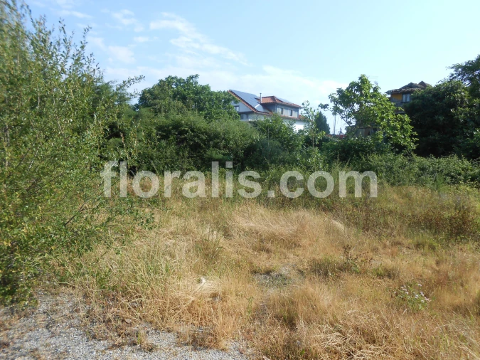 Terreno para Venda em Viseu Foto 2