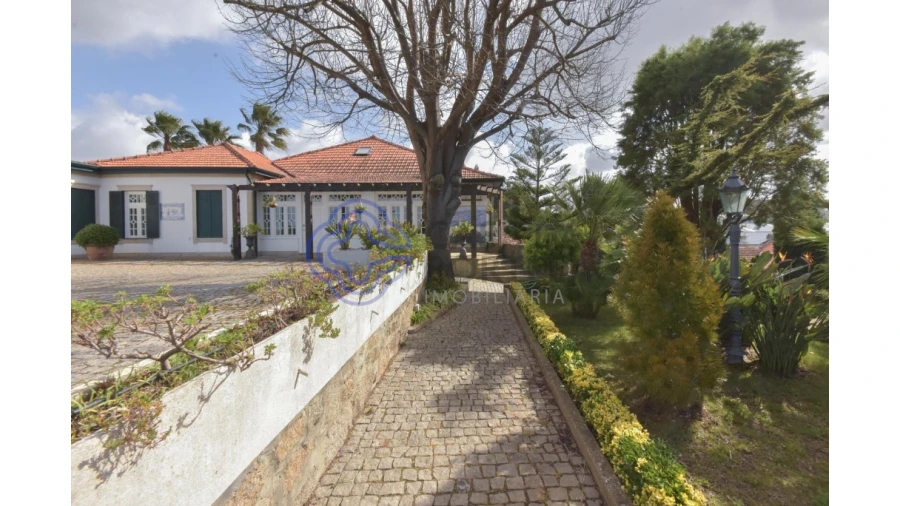 Quinta T5 para Venda em Gulpilhares e Valadares Foto 119