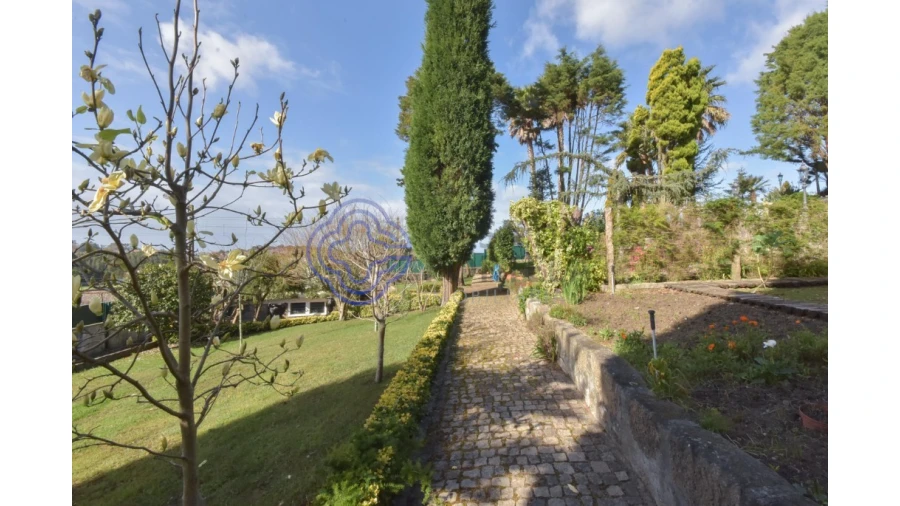 Quinta T5 para Venda em Gulpilhares e Valadares Foto 21