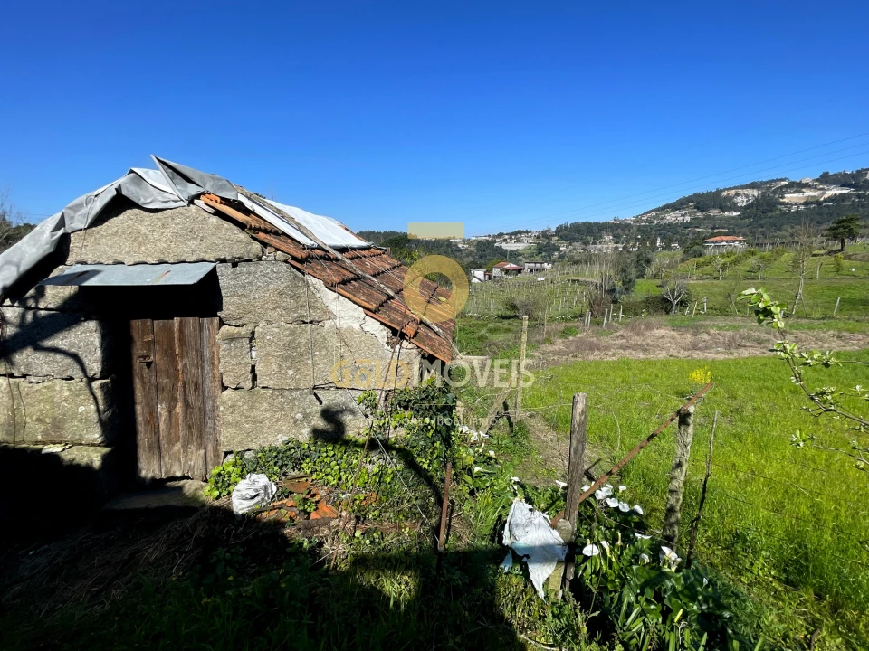 Terreno Agricola ou Rústico para Venda em Souselo Foto 3