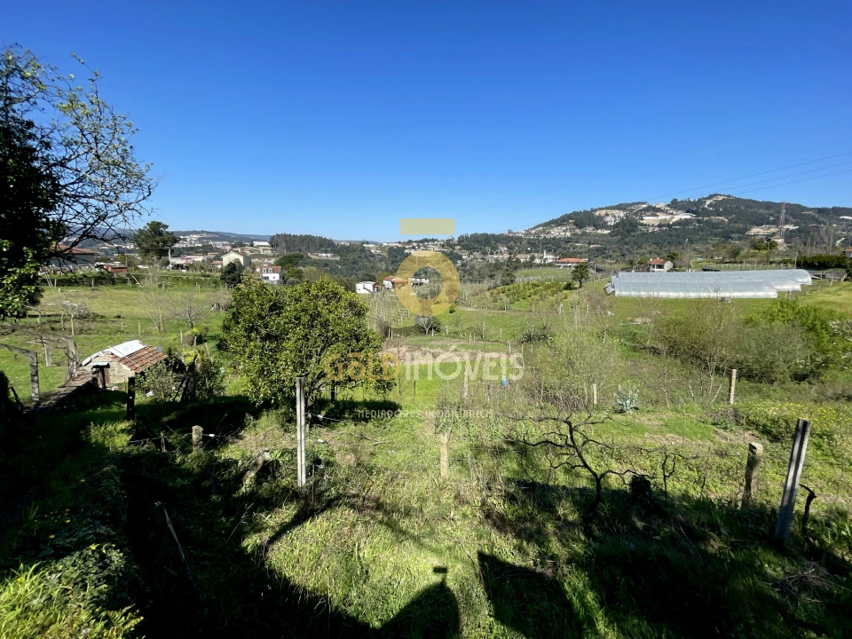 Terreno Agricola ou Rústico para Venda em Souselo Foto 13