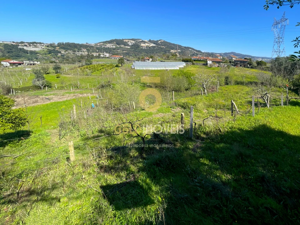 Terreno Agricola ou Rústico para Venda em Souselo Foto 12