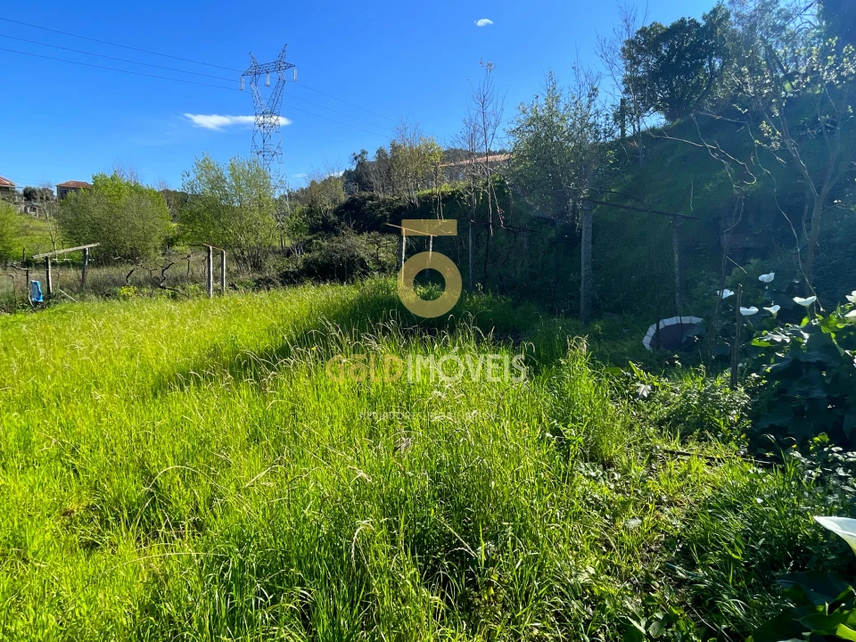 Terreno Agricola ou Rústico para Venda em Souselo Foto 10