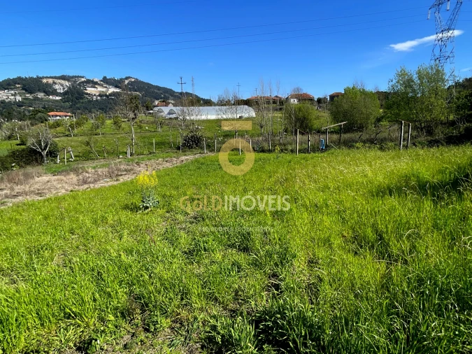 Terreno Agricola ou Rústico para Venda em Souselo Foto 11