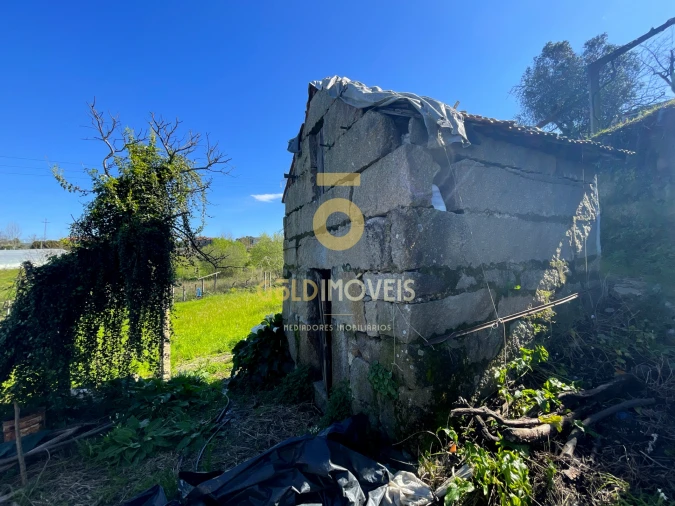 Terreno Agricola ou Rústico para Venda em Souselo Foto 2