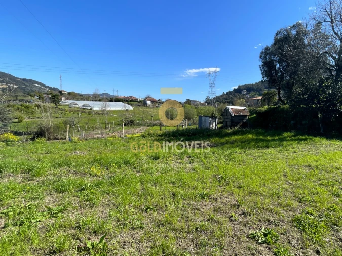 Terreno Agricola ou Rústico para Venda em Souselo Foto 8