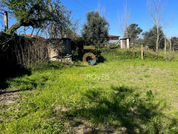 Terreno Agricola ou Rústico para Venda em Souselo Foto 4