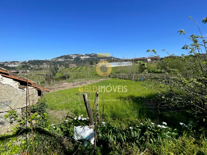 Terreno Agricola ou Rústico para Venda em Souselo Foto 5