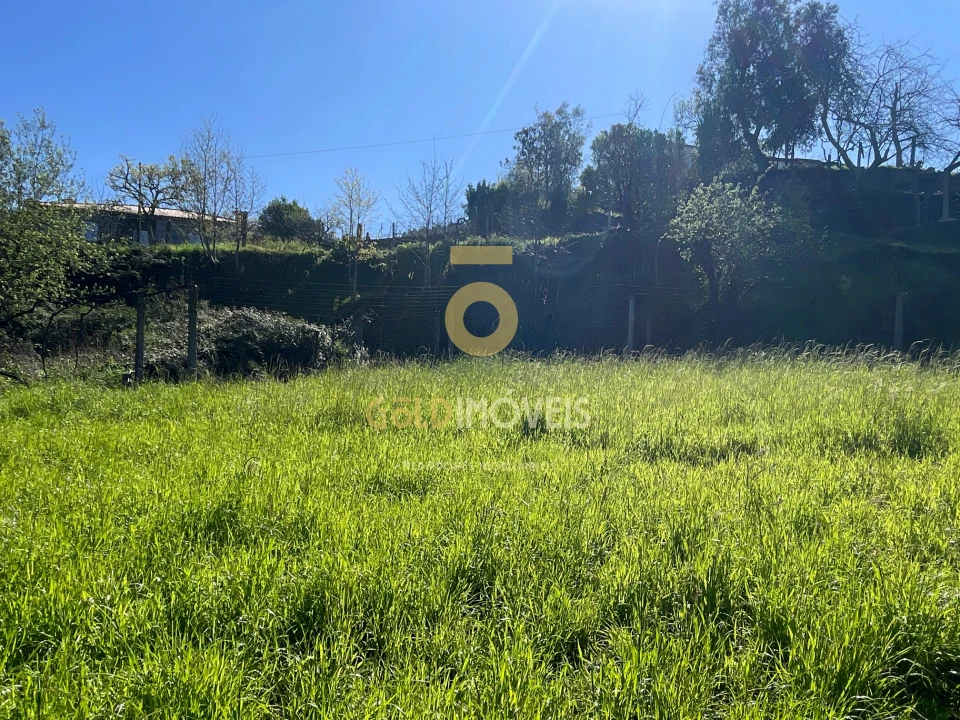 Terreno Agricola ou Rústico para Venda em Souselo Foto 9