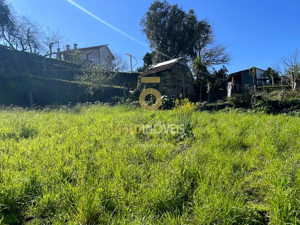 Terreno Agricola ou Rústico para Venda em Souselo Foto 1