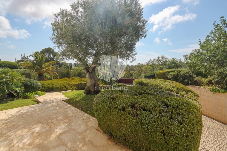 Moradia T3 para Venda em Lagoa e Carvoeiro Foto 49