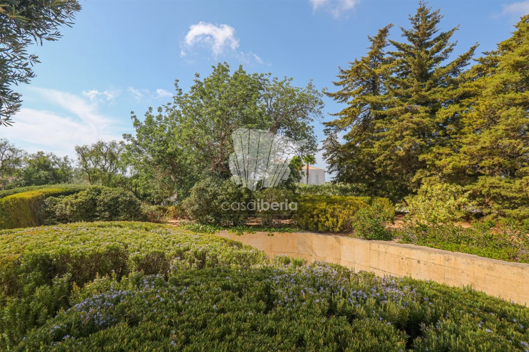 Moradia T3 para Venda em Lagoa e Carvoeiro Foto 52